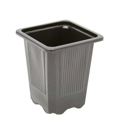 Vierkantiger Teku Stecklings-Topf von GrowTastic, 0,2 Liter, ideal für Anzucht und Pflanzenvermehrung, 7x7x8 cm
