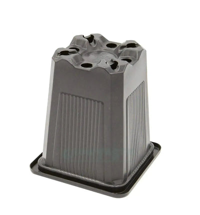 Vierkantiger Pflanztopf von GrowTastic, Teku Stecklings-Topf, 0,2 Liter, für Pflanzenanzucht, 7x7x8 cm, aus Kunststoff