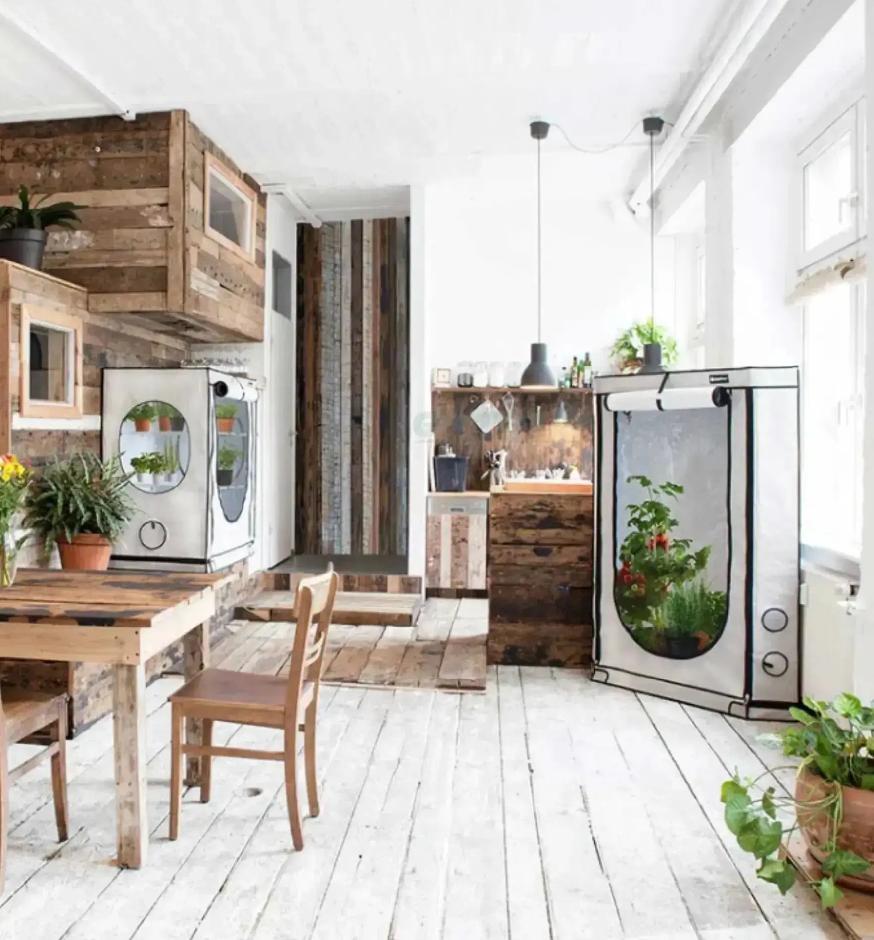 Homebox Vista Growbox in mittlerer und dreieckiger Form, stabile Growbox für Pflanzenzucht, schwarz mit transparentem Deckel