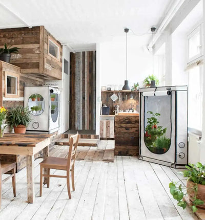 Homebox Vista Growbox in mittlerer und dreieckiger Form, stabile Growbox für Pflanzenzucht, schwarz mit transparentem Deckel