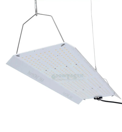 Hortione LED 368 Pflanzenleuchte, 130W Vollspektrum-Wachstumslicht für gesunde Pflanzen, im Einsatz.
