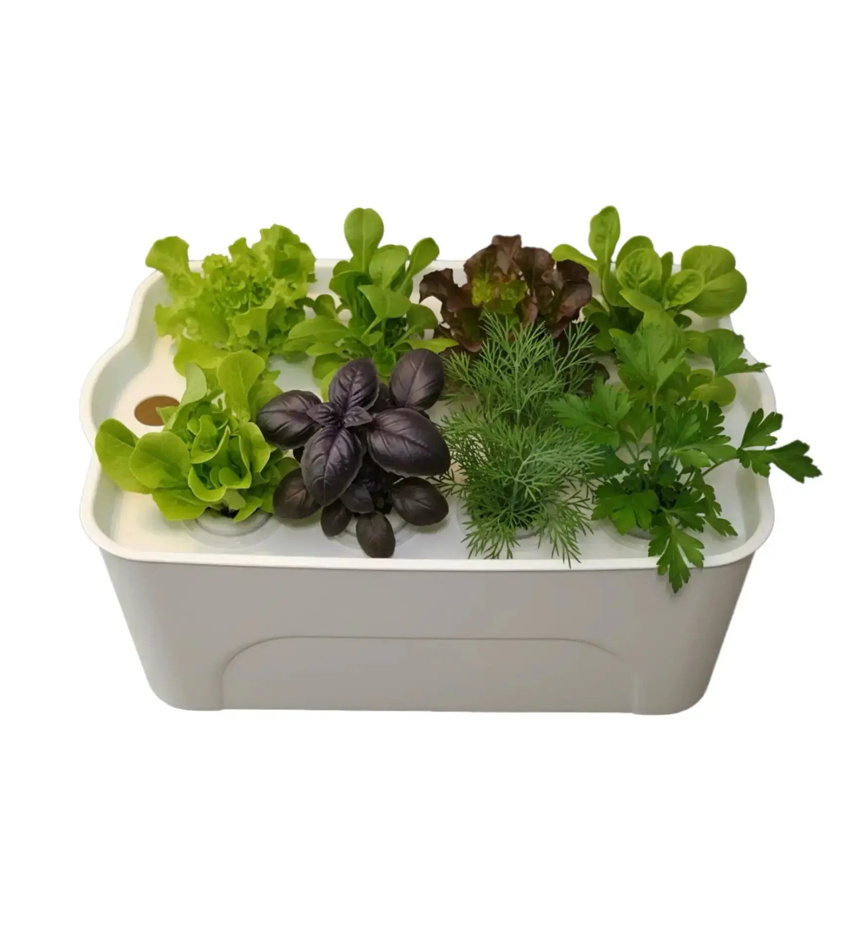 HTP Hydro Box mit Salar