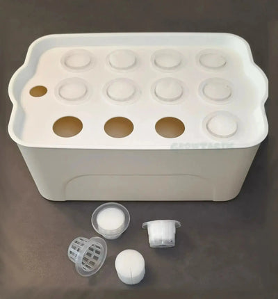 Hydro Box Big von HTP, ein hydroponisches Anzuchtsystem für nachhaltiges Pflanzenwachstum, mit Wasserbehälter und Anzuchtkörben.