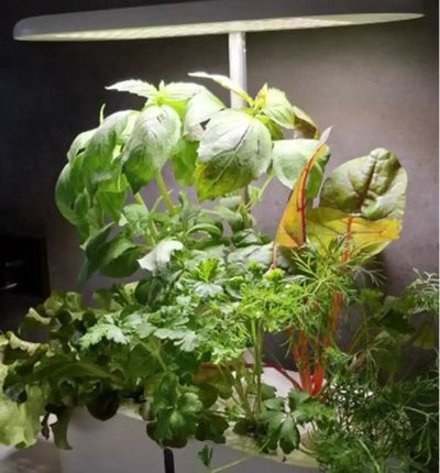 Hydroponisches System Kitchen Garden Mini Weiß von HTP, kompakte Indoor-Gartenanlage für frische Kräuter und Gemüse.