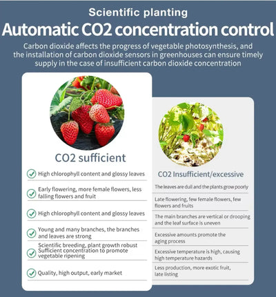 JuanJuan CO₂ Steuergerät, digitales CO₂-Controller für präzise Luftsteuerung in Gewächshäusern und Anbauräumen