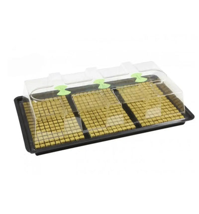 Hydroponisches System Nutricultur X-Stream Heat mit 150 Plätzen, für effiziente Pflanzenzucht in Indoor-Gärten