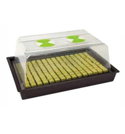 Hydroponisches System Nutricultur X-Stream Heat mit 150 Plätzen, ideal für effizientes Pflanzenwachstum in Innenräumen