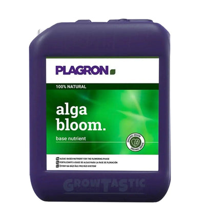 Plagron Alga Bloom Dünger in 500 ml Flasche, flüssiger Pflanzenfutter für Blühphasen, sichtbar in der Flasche