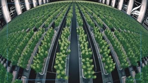 Advanced Nutrients Overdrive Video