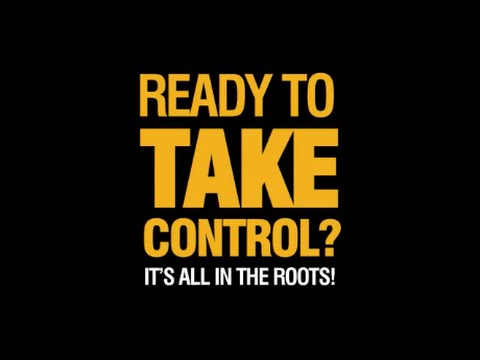 Load video: Nutriculture EBBe Flut Video