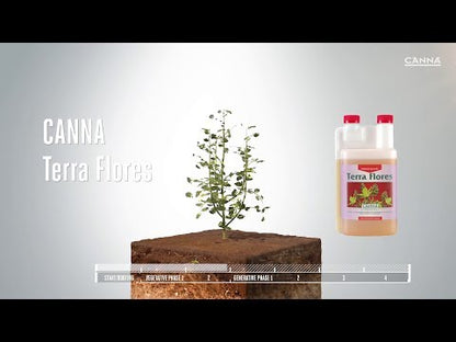 Canna Terra Flores Video