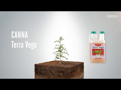 Canna Terra Vega Video