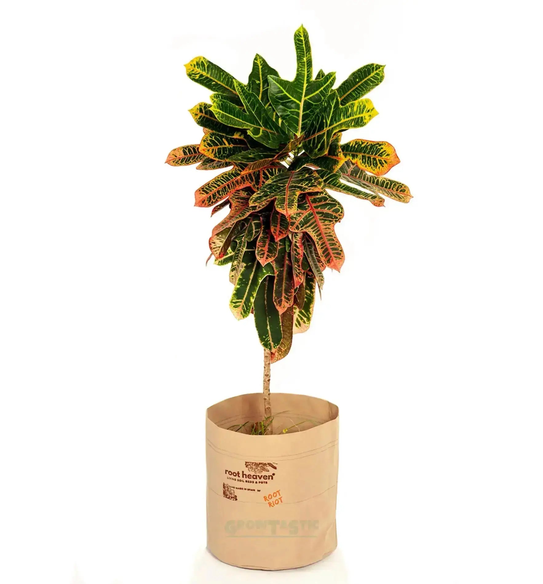 Root Riot Root Heaven Pflanztopf, 75 Liter, hochwertiger Pflanztopf aus langlebigem Material für Pflanzen und Garten.
