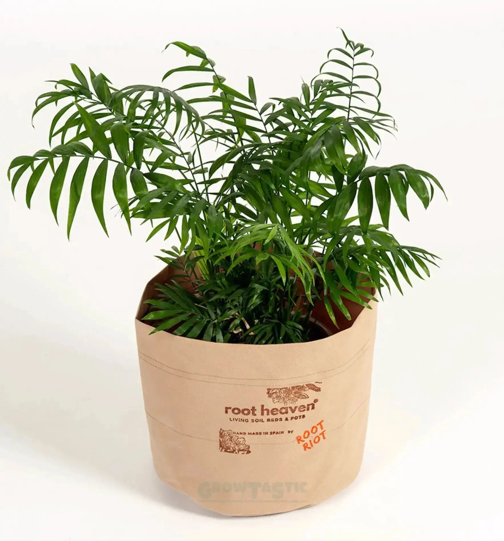 Root Riot Root Heaven® Pflanztopf, 75 Liter, aus langlebigem Material, ideal für Pflanzenzucht und Wurzelentwicklung.