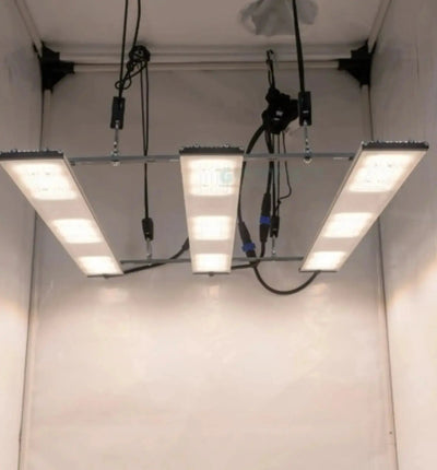 Sanlight Stixx 4-100 LED Pflanzenleuchte für Unter- und Oberbeleuchtung, energiesparend und ideal für Pflanzenwachstum.