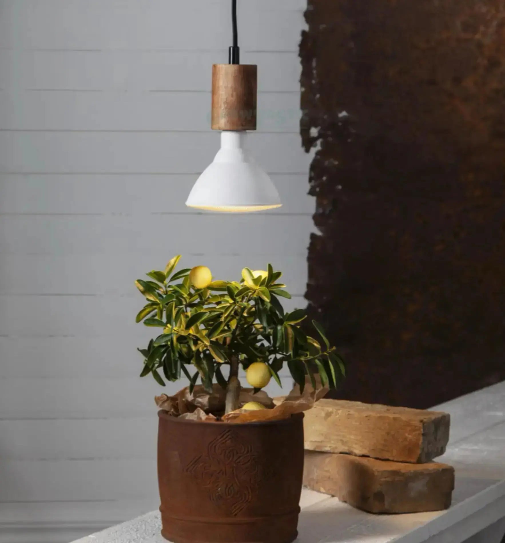 Star Trading Leuchtmittel Plant Light 800cd 16 W E27 2