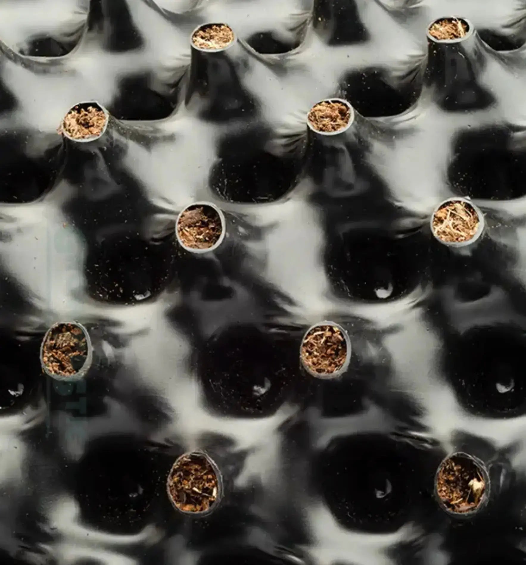 Air-Pot® Komplett Topf 2