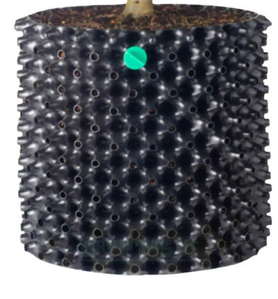Schwarzer Air-Pot® Pflanztopf von Superoots, 1 Liter, 10 cm Durchmesser, 14,5 cm Höhe, für gesunde Pflanzenwurzeln