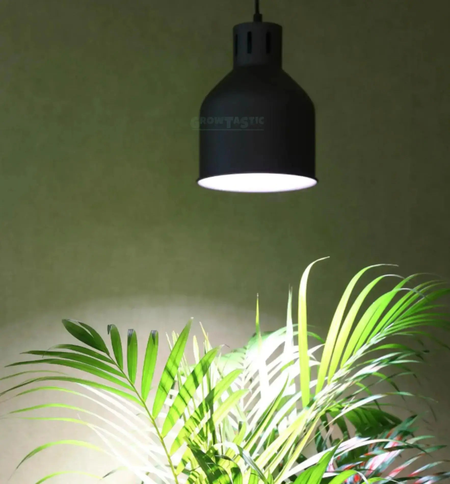 LAmpenschrim Pflanzelampe